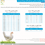 فرمول ویژه سویه ال اس ال