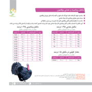 مکمل بوقلمون