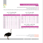 مکمل شتر مرغ