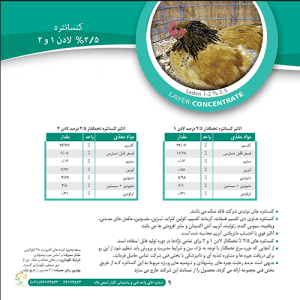 ۲٫۵ درصد لادن۲ بعد از پیک تولید