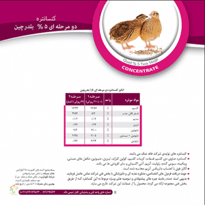 کنسانتره بلدرچین