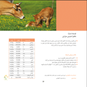 مکمل ویژه استرس حرارتی گل هیت