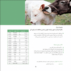مکمل گاوهای تازه زا
