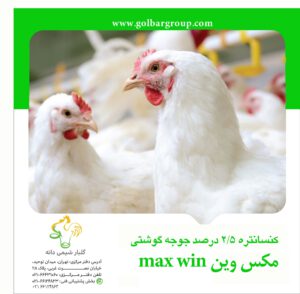 maxwin