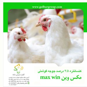 maxwin